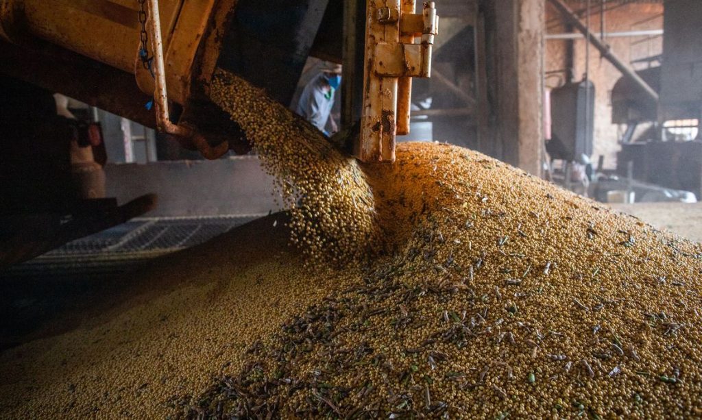 Economia – Produção agrícola em 2021 bate novo recorde e atinge R$ 743,3 bilhões Dados fazem parte da Produção Agrícola Municipal 2021, do IBGE